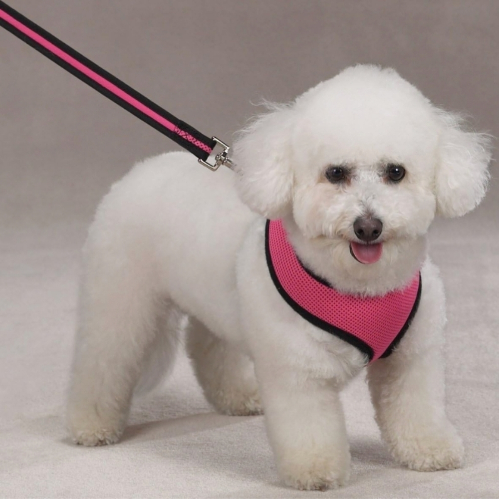 TRU-canine bundle of pet harness , collar and leash. - Picture 2 of 7